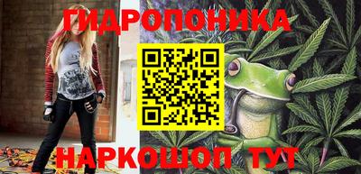 apvp Тара