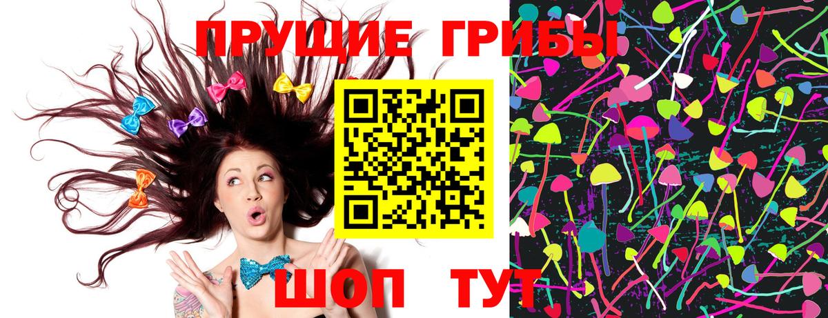 Галлюциногенные грибы прущие грибы  Галлюциногенные грибы Psilocybine cubensis  что такое наркотик  Острогожск  Вход с VPN 